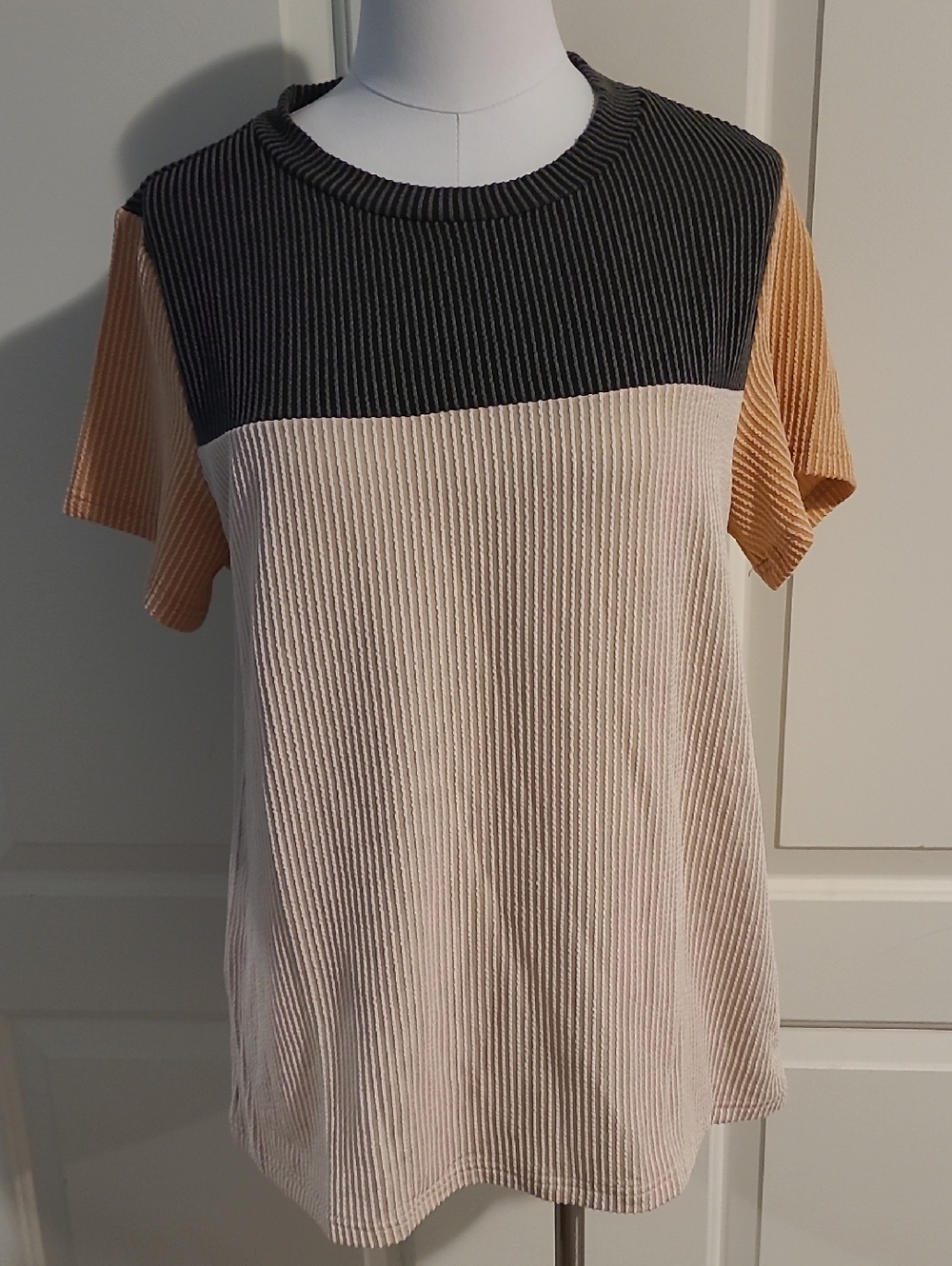 NWT Jenny Boston Neutral Ribbed Colorblock Tee Shirt